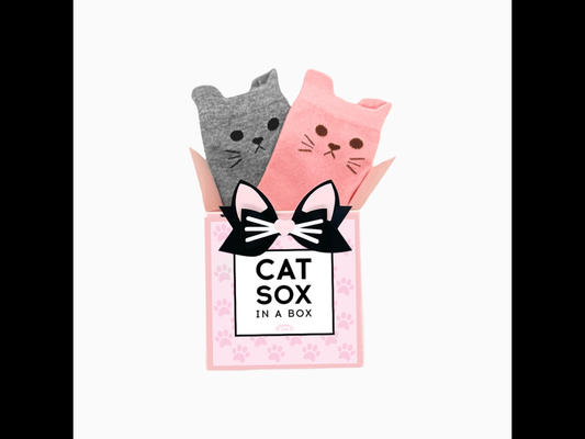 Cat Socks in Gift Box | 2 Pair
