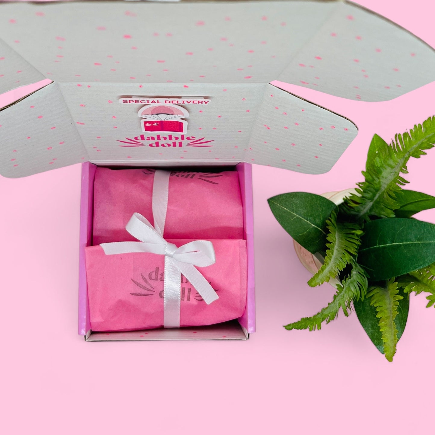 Dabble Doll cat socks gift box wrapped in pink tissue with white ribbon inside open gray box with plant on pink background
