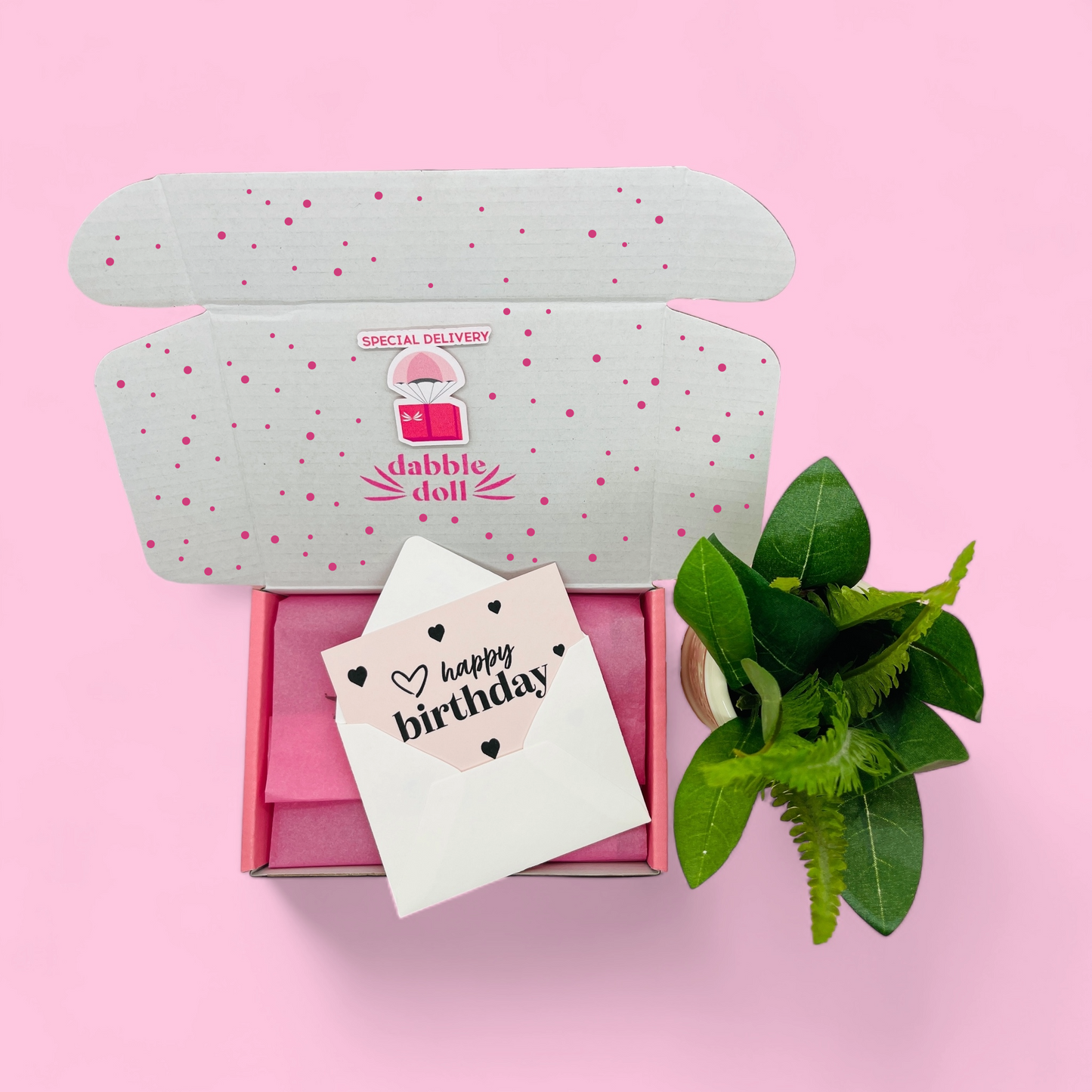 Dabble Doll happy jar gift set with birthday card and small green plant in a pink polka dot box