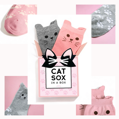 Cat Socks in Gift Box | 2 Pair