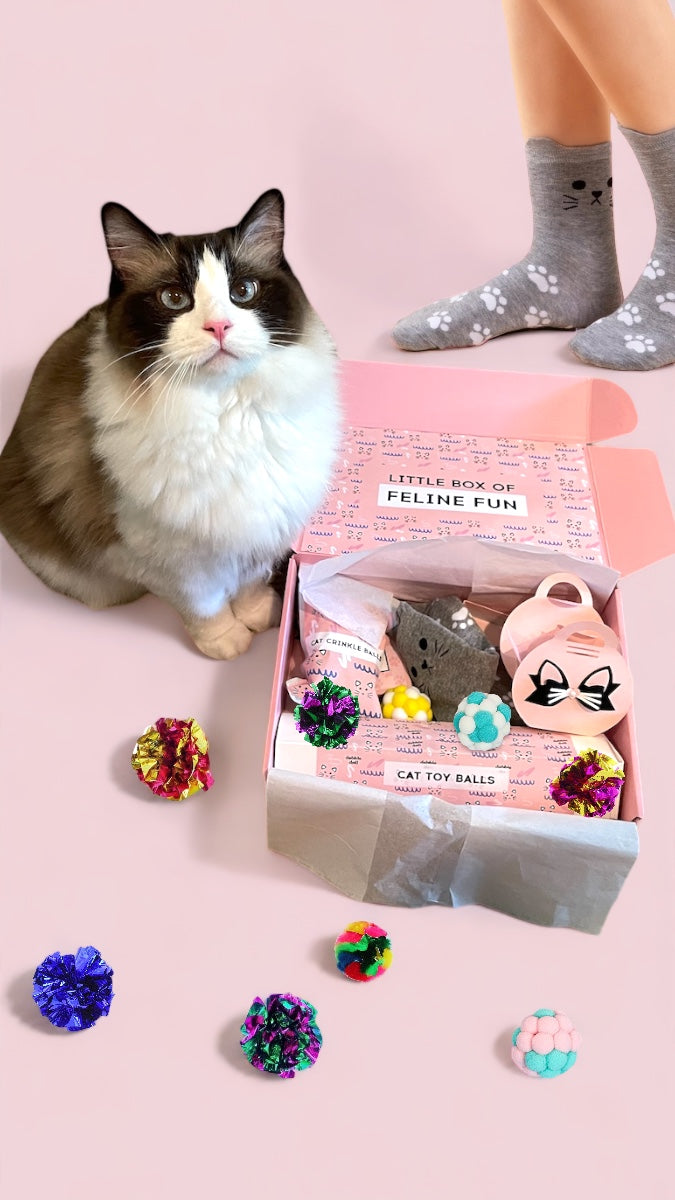 Dabble Doll cat toy kit in a pink box featuring colorful balls, perfect for girls and women cat lovers