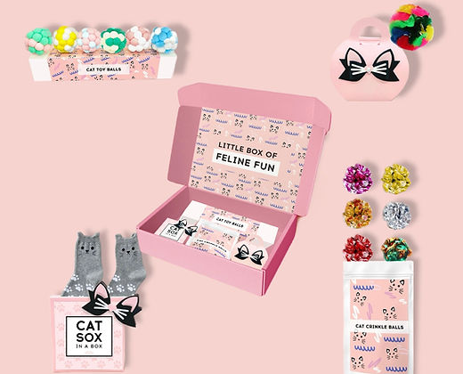 Pink Dabble Doll Cat Toy Gift Box with Colorful Balls and Accessories for Girls and Women