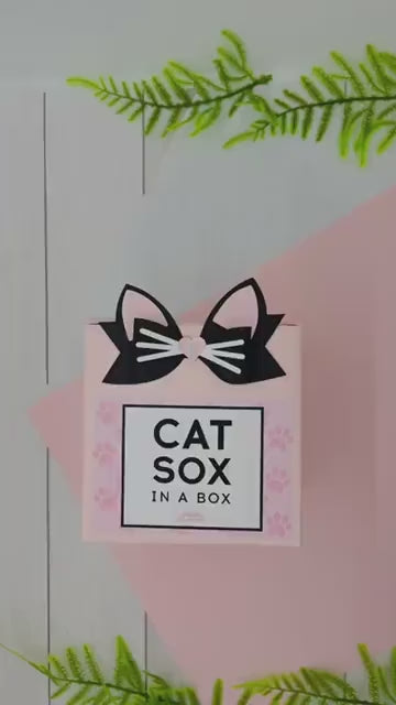 Cat Socks in Gift Box | 2 Pair