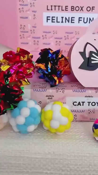 Luxury Cat Toy Gift Box